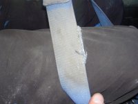 Harness.jpg
