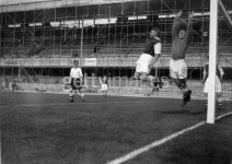 highbury 2.jpg