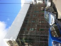 2011-08-09 16.39.26.jpg