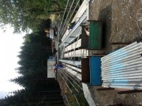 20130813_120153.jpg