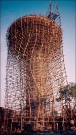 bamboo scaffold.jpg